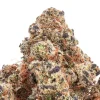 Lizard Burger THCa