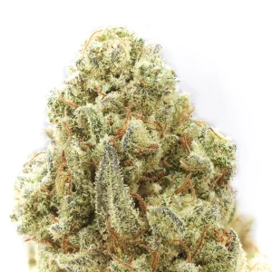 Black Banana Cookies THCa