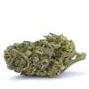GMO Rootbeer · Sungrown THCa Flower