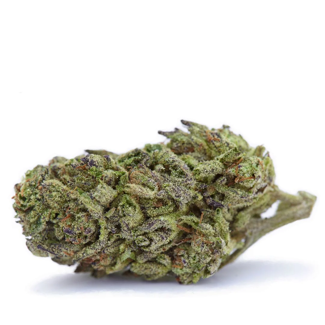 GMO Rootbeer · Sungrown THCa Flower