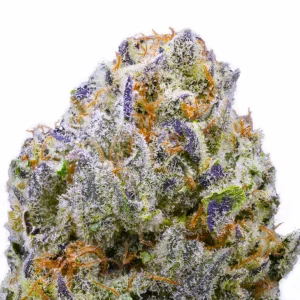 Purple Churro THCa