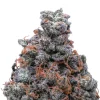 White Runtz THCa